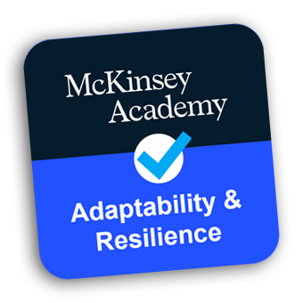 McKinsey Adaptability & Resilience